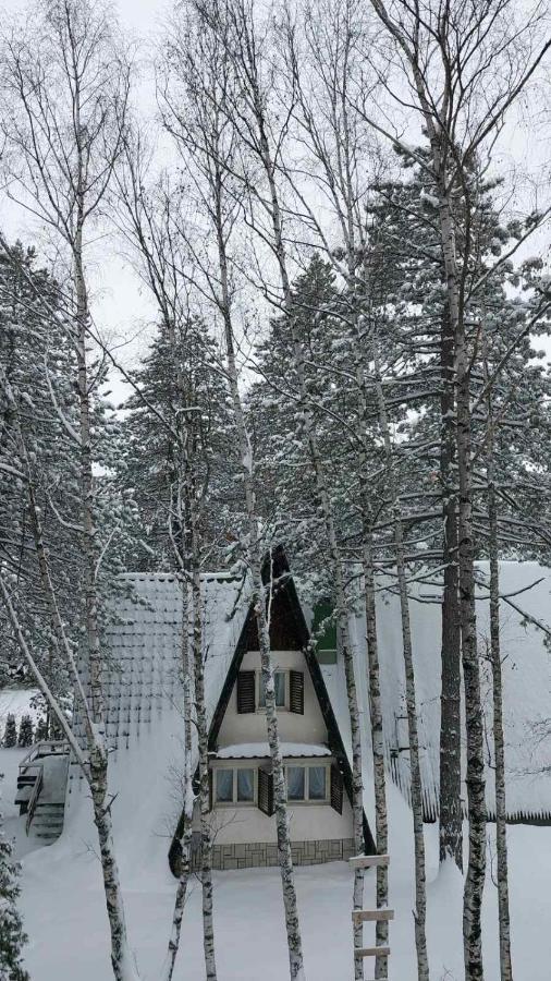 Zlatibor Apartman Asteri Daire Dış mekan fotoğraf